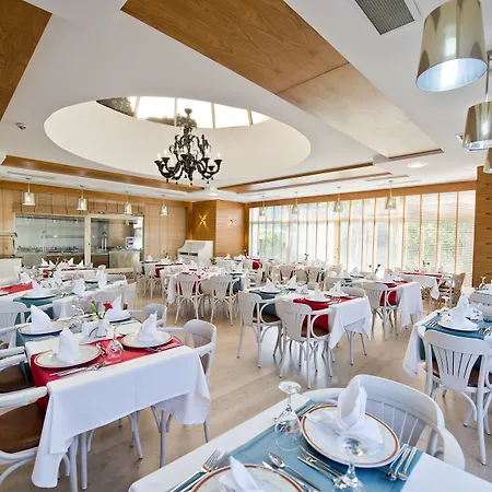 Trendy Palm Adults Only