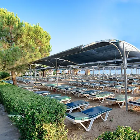 Trendy Palm Adults Only Side